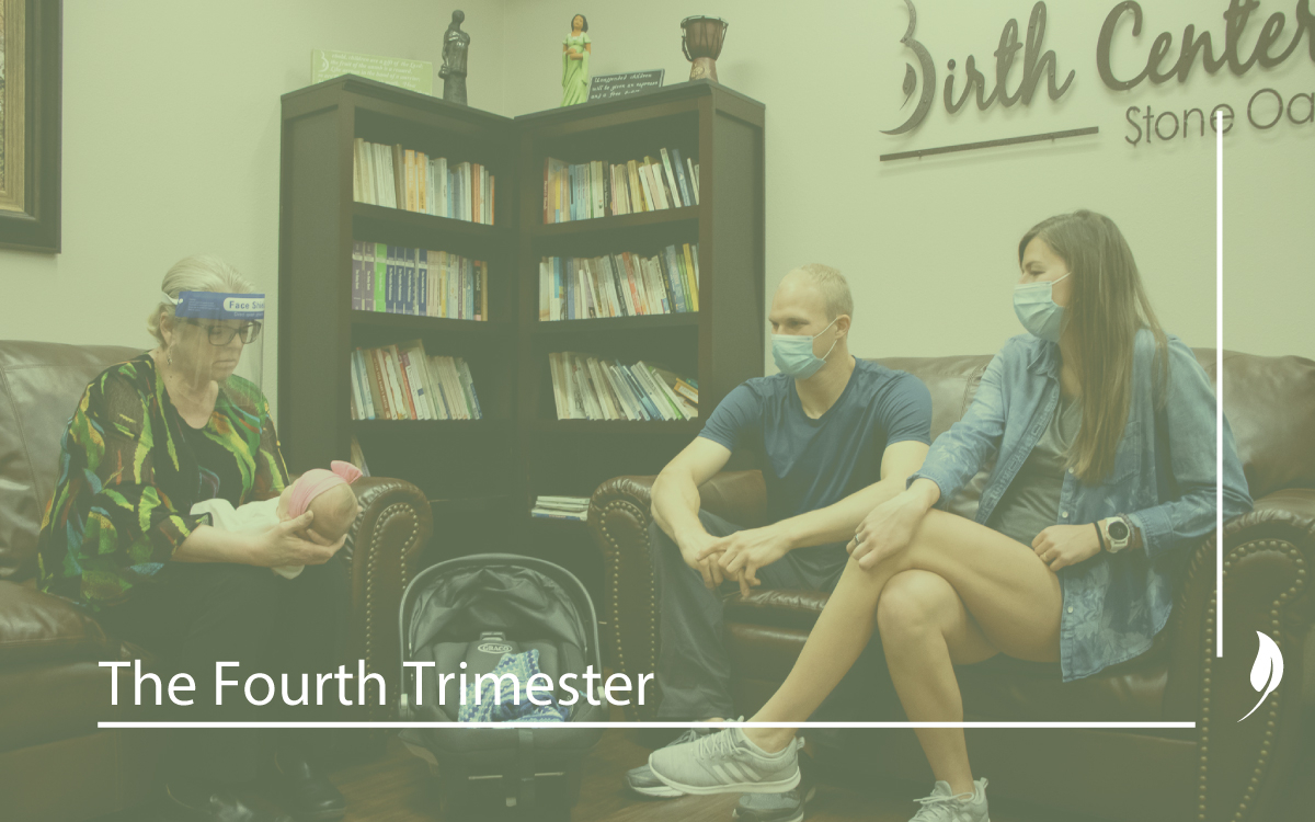 The-Fourth-Trimester