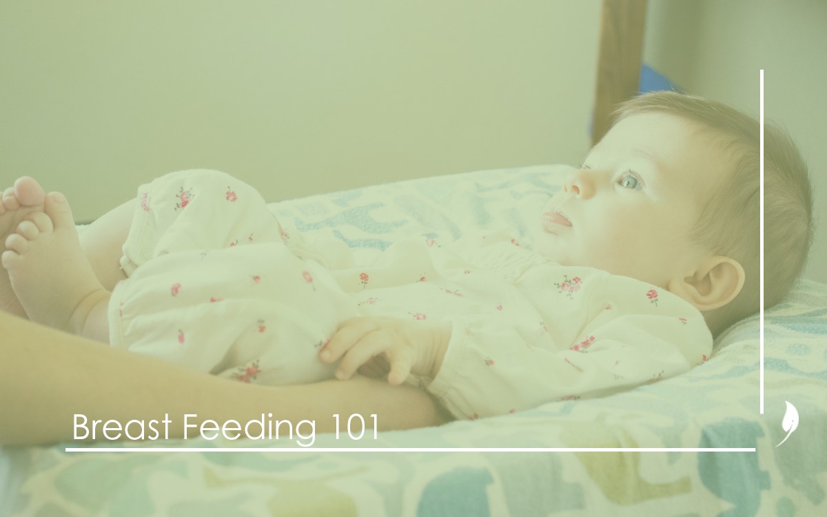 BCSO Blog Graphic Breastfeeding 101