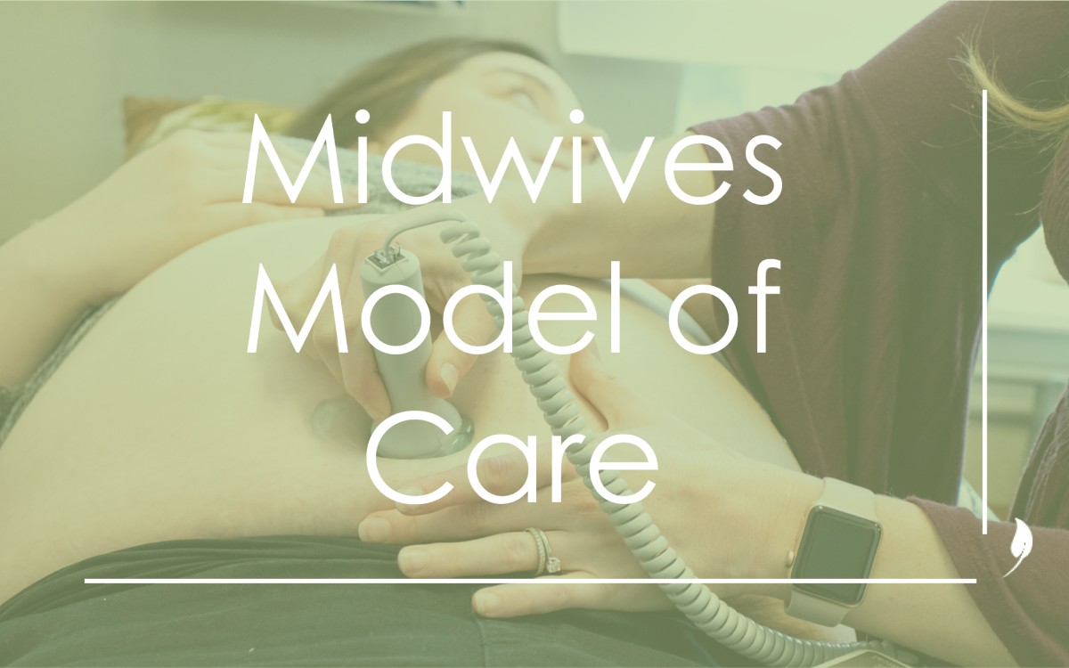 BCSO Blog Graphic - Midwives Model of Care