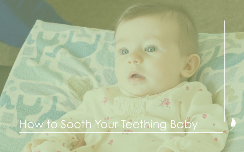 BCSO-Blog-Graphic-how-to-sooth-your-teething-baby-800x500