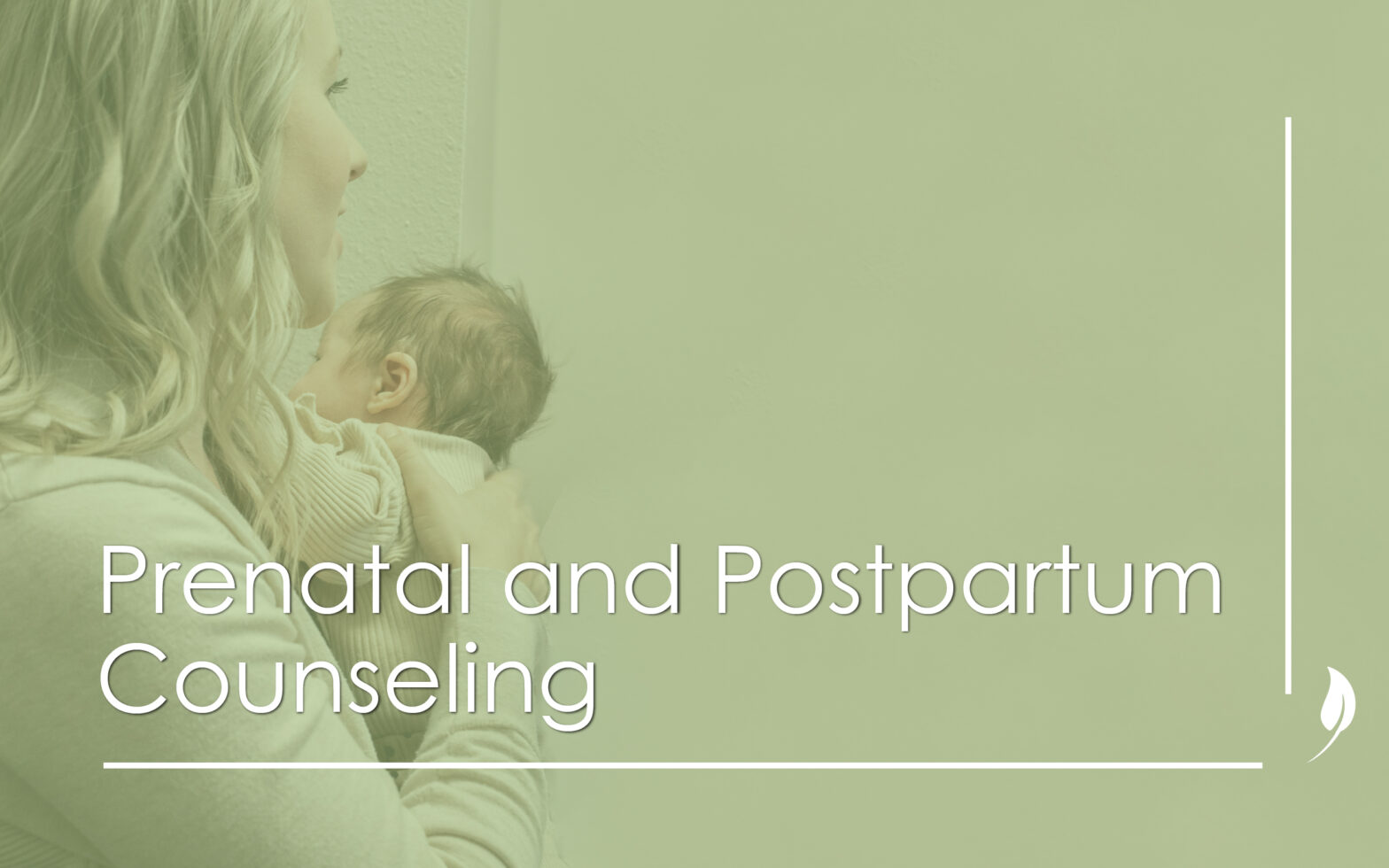 Prenatal and Postpartum Counseling